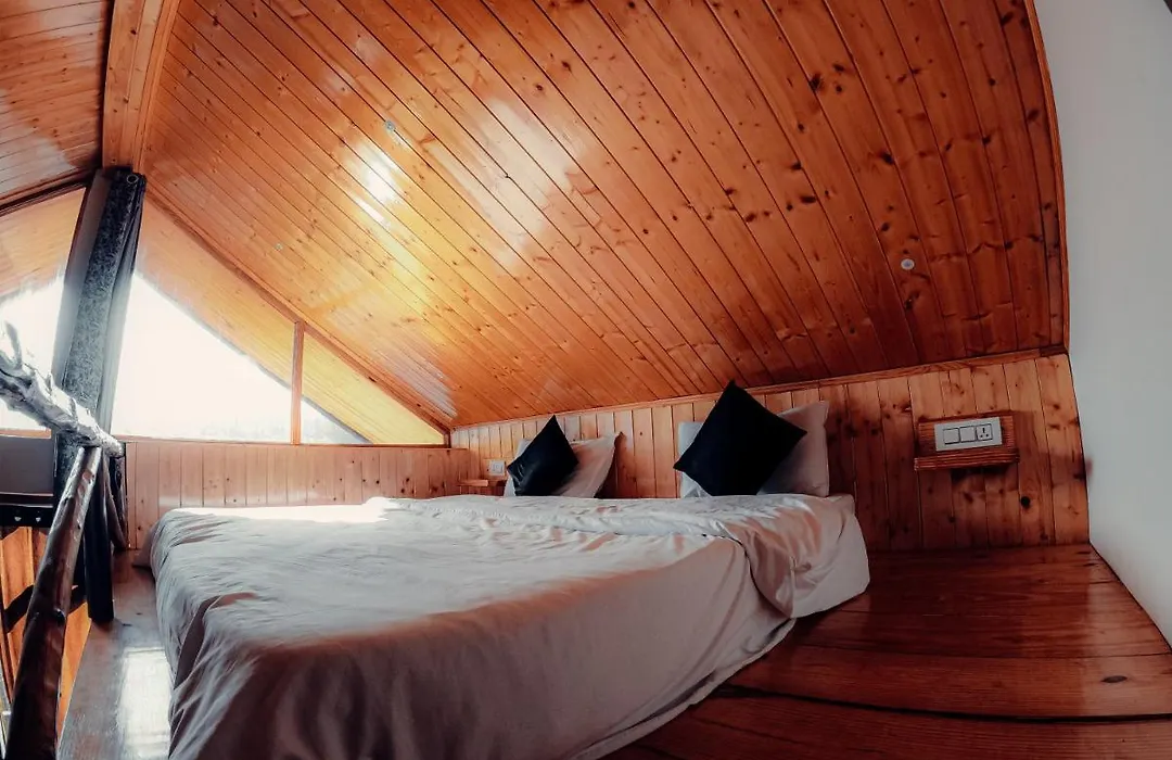 Roamate Hostel, Old Manali-1